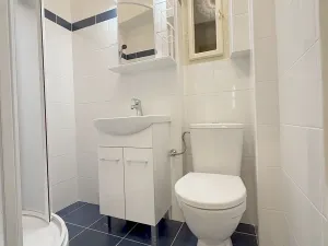 Pronájem bytu 3+1, Praha - Vinohrady, Perunova, 64 m2