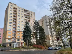 Prodej bytu 2+1, Ústí nad Labem, Jizerská, 66 m2
