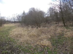 Prodej pozemku, Novosedly nad Nežárkou, 6591 m2