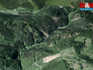 Prodej lesa, Nemile, 12967 m2