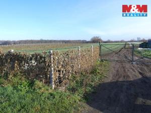 Prodej pole, Nové Dvory, 9979 m2