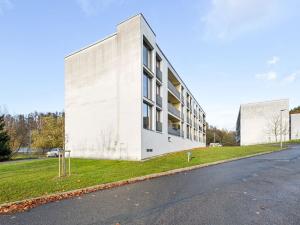 Prodej bytu 1+1, Týnec nad Sázavou, Na Kněžině, 39 m2