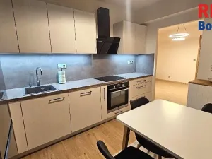 Pronájem bytu 2+1, Mladá Boleslav, U stadionu, 62 m2