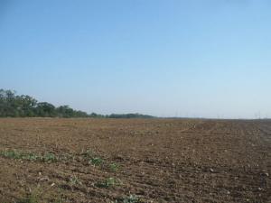 Prodej komerčního pozemku, Veltrusy, 27806 m2