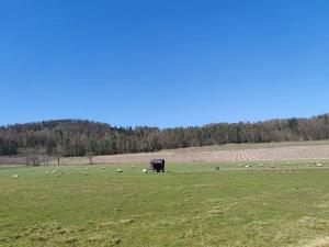 Prodej pozemku pro bydlení, Horažďovice, 1125 m2