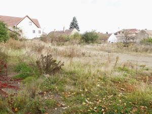 Pronájem komerčního pozemku, Praha - Břevnov, Bělohorská, 2373 m2