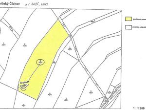Prodej lesa, Číchov, 7090 m2