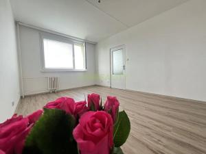 Prodej bytu 3+1, Jičín, Na jihu, 71 m2