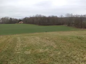 Dražba louky, Srby, 19946 m2