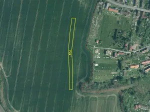 Dražba louky, Srby, 19946 m2