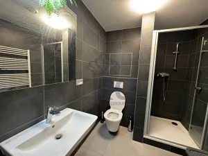 Pronájem bytu 1+kk, Slavkov u Brna, Zelnice II, 39 m2