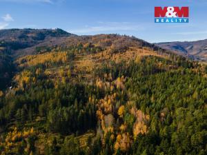 Prodej louky, Milíkov, 4541 m2