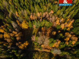 Prodej louky, Milíkov, 4541 m2