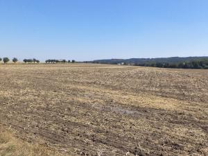 Prodej pozemku, Podbořany - Kněžice, 1801 m2