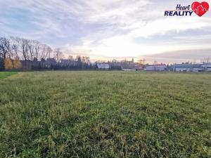 Prodej komerčního pozemku, Neplachovice, Na Nivě, 7386 m2