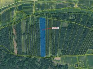 Dražba lesa, Stehlovice, 29451 m2