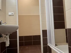 Prodej bytu 2+kk, Brno, Stará, 68 m2