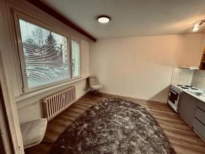 Pronájem bytu 2+kk, Liberec, Vysoká, 40 m2