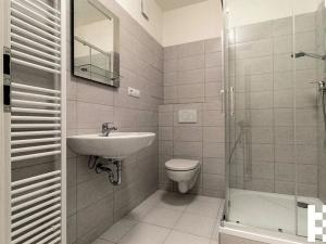 Pronájem bytu 1+kk, Plzeň, K Zelené louce, 31 m2