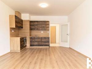 Pronájem bytu 1+kk, Plzeň, K Zelené louce, 31 m2