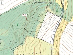 Dražba lesa, Jenišovice, 2305 m2
