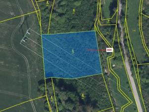 Dražba lesa, Vysoké Mýto, 4766 m2