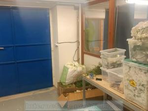 Pronájem výrobních prostor, Praha - Letňany, Ostravská, 61 m2