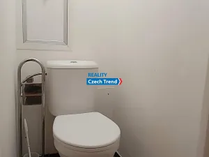 Pronájem bytu 1+1, Olomouc, Dělnická, 37 m2