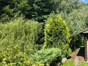 Prodej chalupy, Dlouhý Most, 60 m2