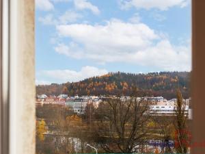 Prodej bytu 2+1, Karlovy Vary, Šmeralova, 51 m2