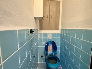 Pronájem bytu 3+1, Čáslav, Čeplova, 72 m2