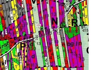 Dražba lesa, Borovany, 605 m2