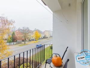 Prodej bytu 2+1, Olomouc, tř. Míru, 50 m2