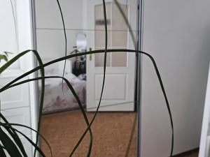 Prodej bytu 3+1, Zákolany, 82 m2