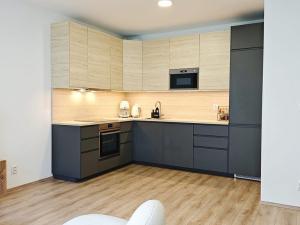 Pronájem bytu 2+kk, Brno - Brno-město, Spolková, 53 m2