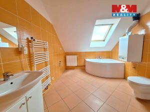 Prodej kanceláře, Ostrava - Přívoz, Kosmova, 310 m2