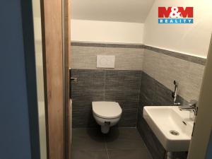 Pronájem chalupy, Rakov, 162 m2