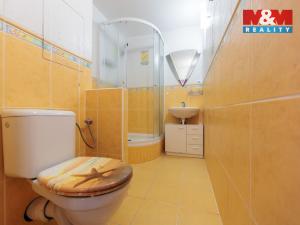 Pronájem bytu 2+1, Sokolov, Závodu míru, 59 m2