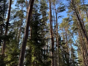 Prodej pozemku, Slabčice, 9236 m2