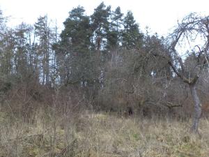 Prodej pozemku, Srby, 1445 m2