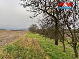 Prodej zahrady, Bezuchov, 901 m2