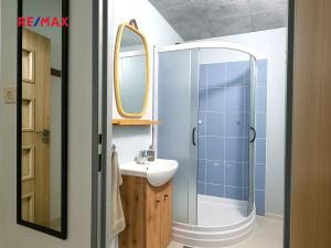 Pronájem bytu 1+kk, Praha - Chodov, Brodského, 30 m2