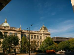 Pronájem bytu 3+1, Praha - Vinohrady, 117 m2