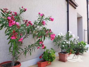 Prodej bytu 2+kk, Bjala, Bulharsko, 69 m2