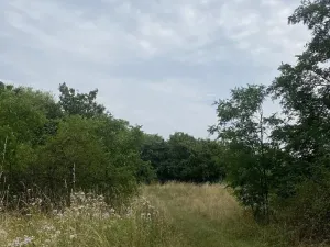 Dražba pozemku, Praha - Michle, 8863 m2