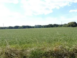 Dražba pole, Rožmitál pod Třemšínem, 10000 m2