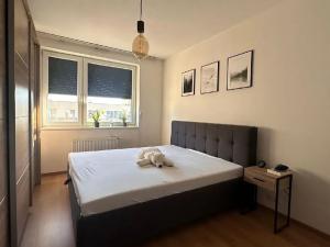 Pronájem bytu 2+kk, Praha - Hostivař, Rižská, 54 m2