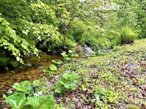 Prodej chalupy, Tanvald, Sladká Díra, 157 m2