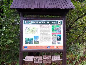 Prodej zemědělského objektu, Valašské Klobouky, Brumovská, 467 m2