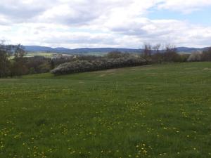 Prodej pozemku, Staré Město - Nová Véska, 10063 m2
